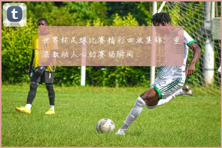 世界杯足球比赛精彩回放集锦：重温激动人心的赛场瞬间
