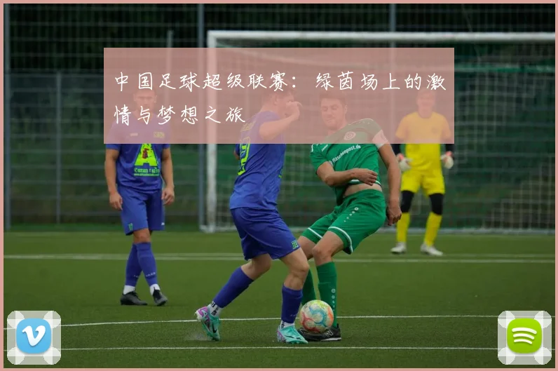 中国足球超级联赛：绿茵场上的激情与梦想之旅