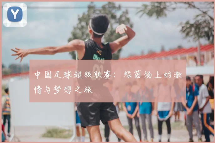 中国足球超级联赛：绿茵场上的激情与梦想之旅